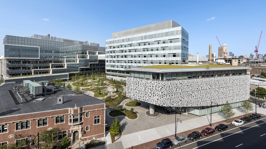 novartis institutes for biomedical research